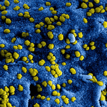 Flora bakteryjna - jak dbać?