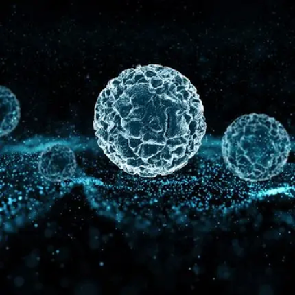 komórki i cząsteczki likopenu