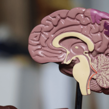 Zdrowie psychiczne w XXI wieku