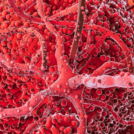 pomidory a cholesterol - Wpływ diety bogatej w likopen na profil lipidowy i obniżanie ryzyka miażdżycy