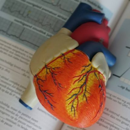 Jak poprawić kondycję serca dzięki regularnemu spożywaniu likopenu?